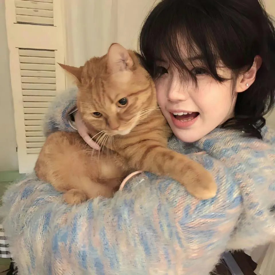 玛莎·米切尔效应